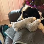 Helen Winter - @helen_winter65 - Instagram