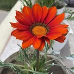 Hello Again - @hello_again003 - Instagram