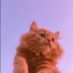 helloagain_ - @helloagain___001 - Instagram