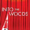 Into the Woods - @hello_dolly_itw_nrca - TikTok