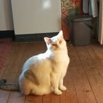 Helma Wolf - @helmawolf105 - Instagram