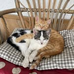 baerbel_helmut - @baerbel_helmut - Instagram