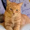 Helmut Bauer - @helmut.bauer8 - TikTok