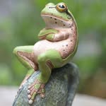 Helmut Bauer - @helmut.bauer.142240 - Instagram
