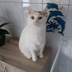 Helmut Becker - @helmut.becker.7334 - Instagram