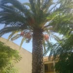 Helmut Becker - @helmut.becker.756 - Instagram