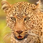 Helmut Becker - @helmut1840 - Instagram