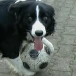 Helmut Falkner - @helmut.falkner.5 - Instagram