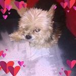 Helmut Gruber - @helmutgruber1961 - Instagram