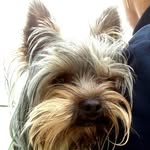 Helmuth Harders - @helmuthharders - Instagram