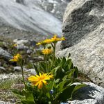 Helmut Hartmann - @hh19.68 - Instagram