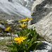 Helmut Hartmann - Facebook
