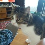 Helmut Hartmann - @hartmann.helmut - Instagram