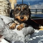 Helmut Heim - Facebook
