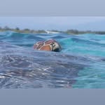 Helmut Heimhilcher - @heimhilcherhelmut - Instagram