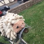 Helmut.der.Igel - @helmut.der.igel - Instagram