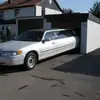 helmutkatzenbogen - @helmutkatzenbogen - TikTok