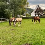 Helmut Kessler - Facebook