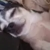 helmutklein55 - @helmutklein55 - TikTok