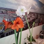 Helmut Koch - @elektrokoch123 - Instagram