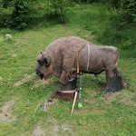 Helmut Maderthaner - @helmutmaderthaner - Instagram