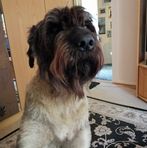 Helmut Naumann - Facebook