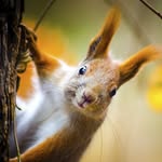 Helmut Peter - @hepe54 - Instagram