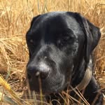 Helmut Peter - @helmut_und_marion_peter - Instagram