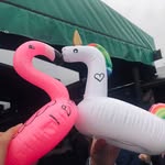 Helmut und Peter - @helmut_und_peter - Instagram