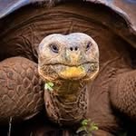 Helmut Schmitz - @helmut5084 - Instagram