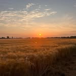 Helmut Simon - @helmut_2605 - Instagram