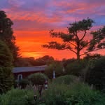 Helmut Vogt - @helmutvogt - Instagram
