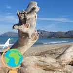 Helmut Weber - @helmut.weber.9216 - Instagram