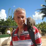 Helmut Weber - @helmutweberwalt - Instagram