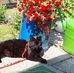 Helmut Weber - Facebook