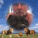 Helmut Weber - @helmut203 - Instagram