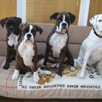 Helmut Werner - @helmut.werner.9843 - Instagram