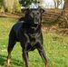 Helmut Werner - Facebook