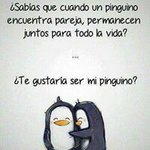 Helmuth Solis - @helmuthsolis - Instagram