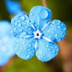 Heloise Jones - Facebook