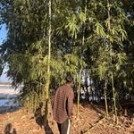 hem - @hem_acharya__ - Instagram