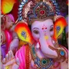 hemjoshi768 - @hemjoshi768 - TikTok