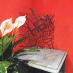 Hẻm Quán - @hem_quan - Instagram