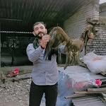 Hem Singh_ketu_1008 - @hem_singh_ketu_1008 - Instagram