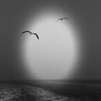 Hemal Doshi - Facebook