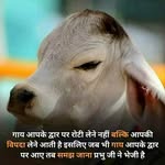 Hemal Doshi - @hemaldoshi156 - Instagram