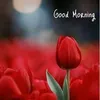 Hemali_Doshi - @bbcandee89 - TikTok