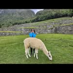 Hemangini Desai - @hemangini3177 - Instagram