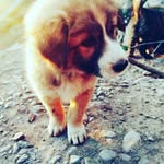 Hemant Negi - @monu.negi.129 - Instagram