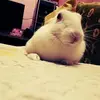 Hemant Sethi955 - @hemantsethi527 - TikTok